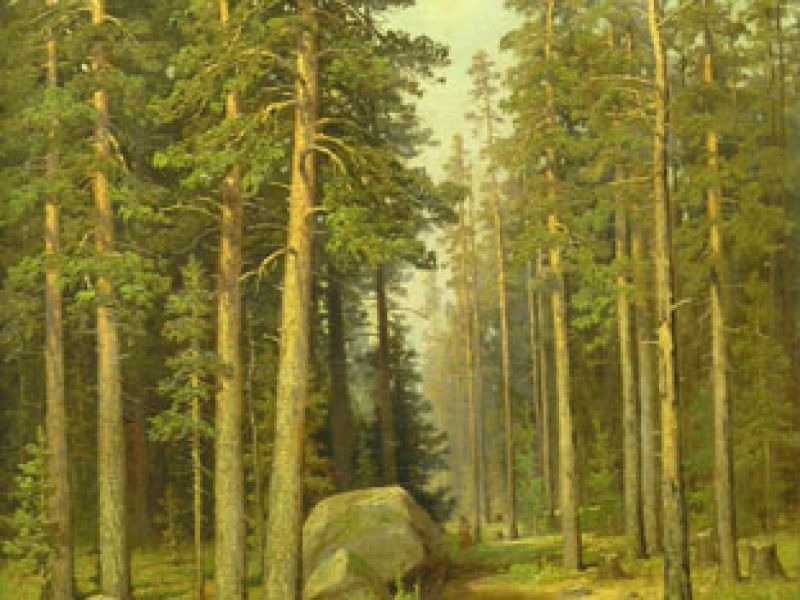 Russian Painting Collection